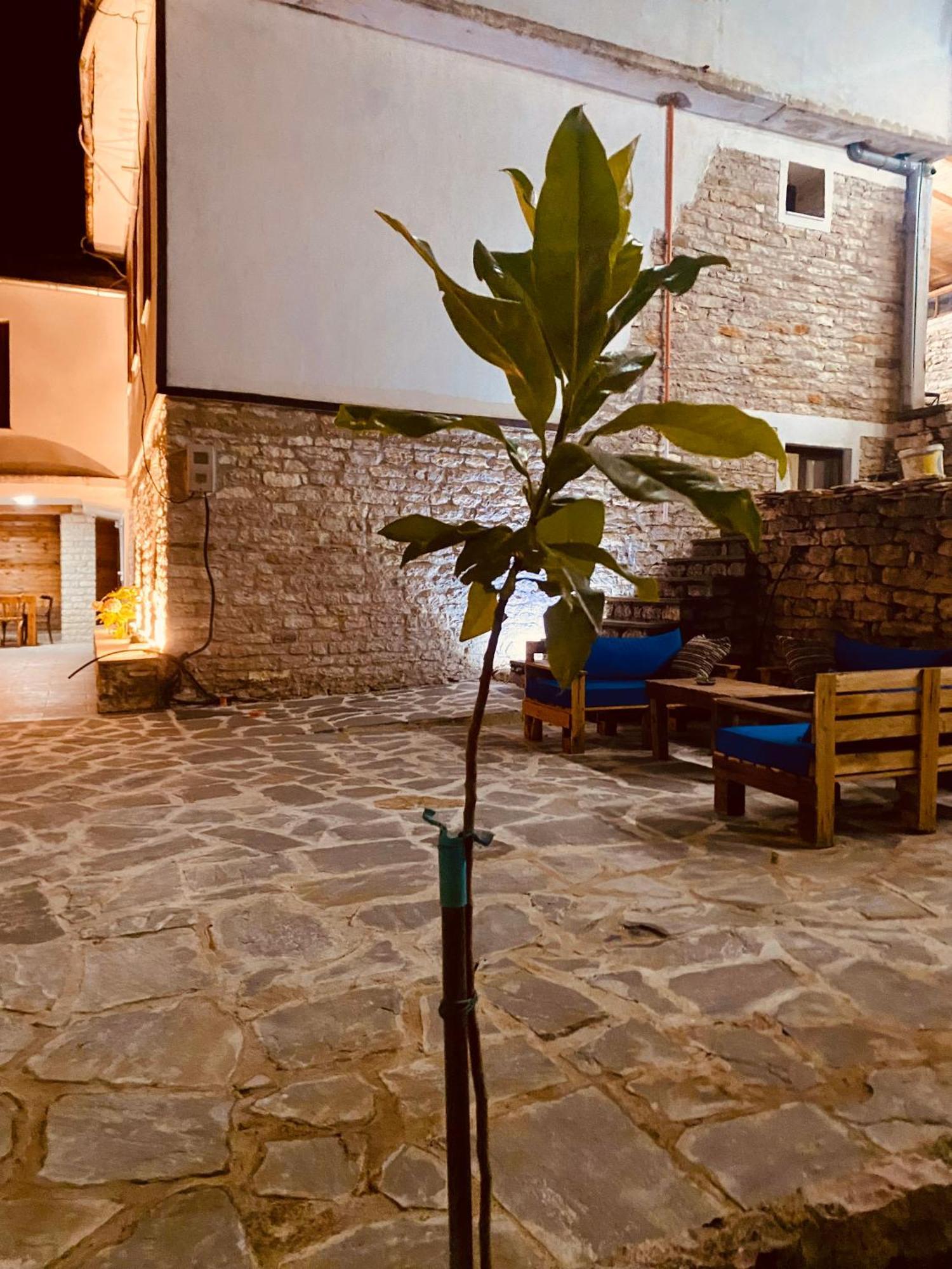 Vila Eri Gjirokastër Dış mekan fotoğraf